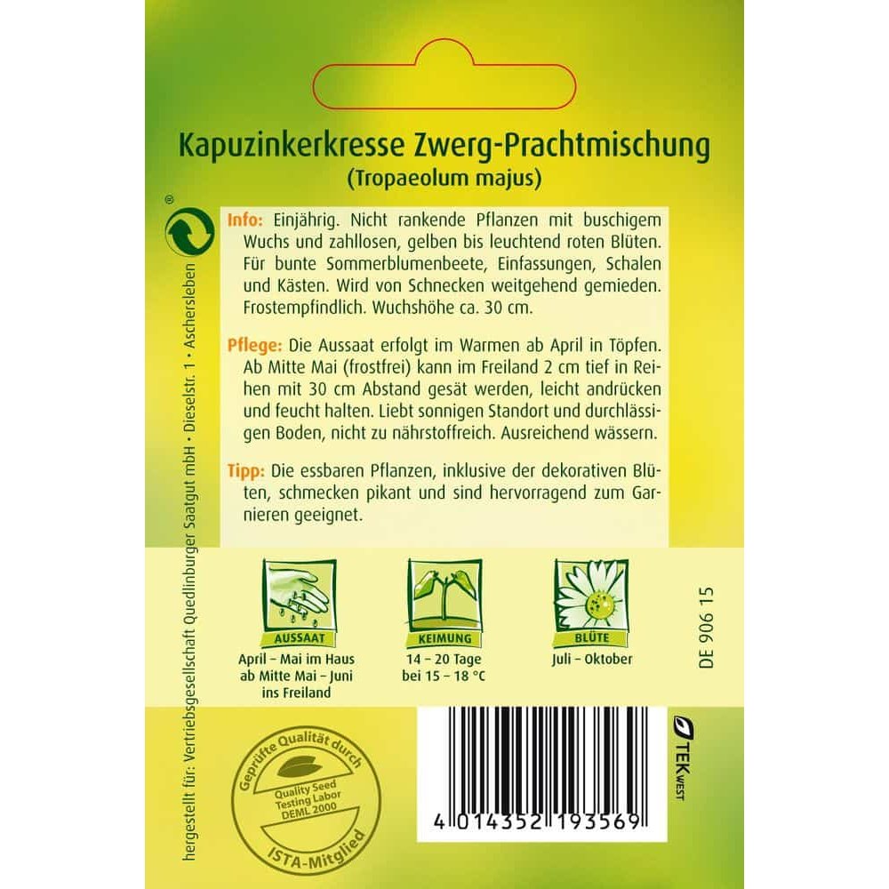 Kapucijners, Dwerg-prachtmix-0