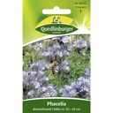 Phacelia, Bijenvriend