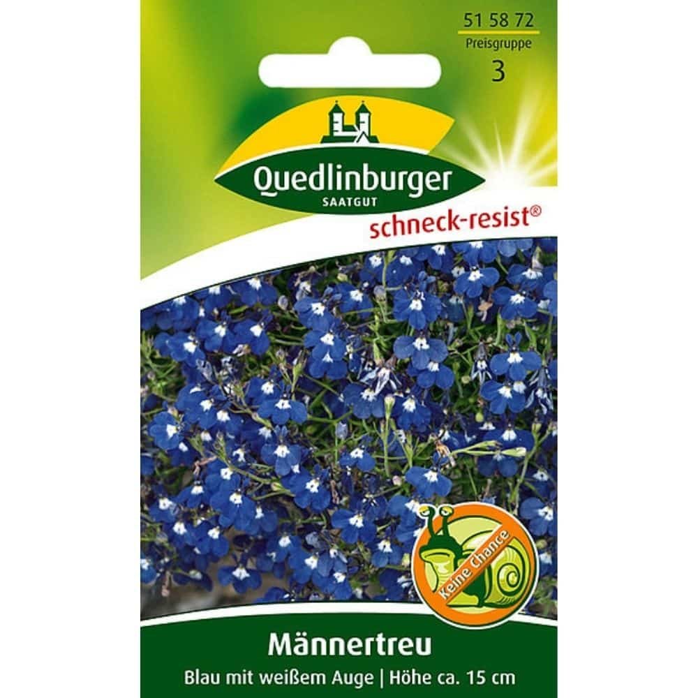 Männertreu, Blauw met wit oog