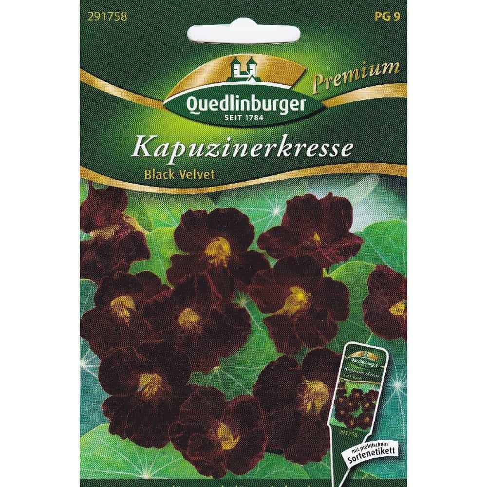 Oost-Indische kers, Black Velvet