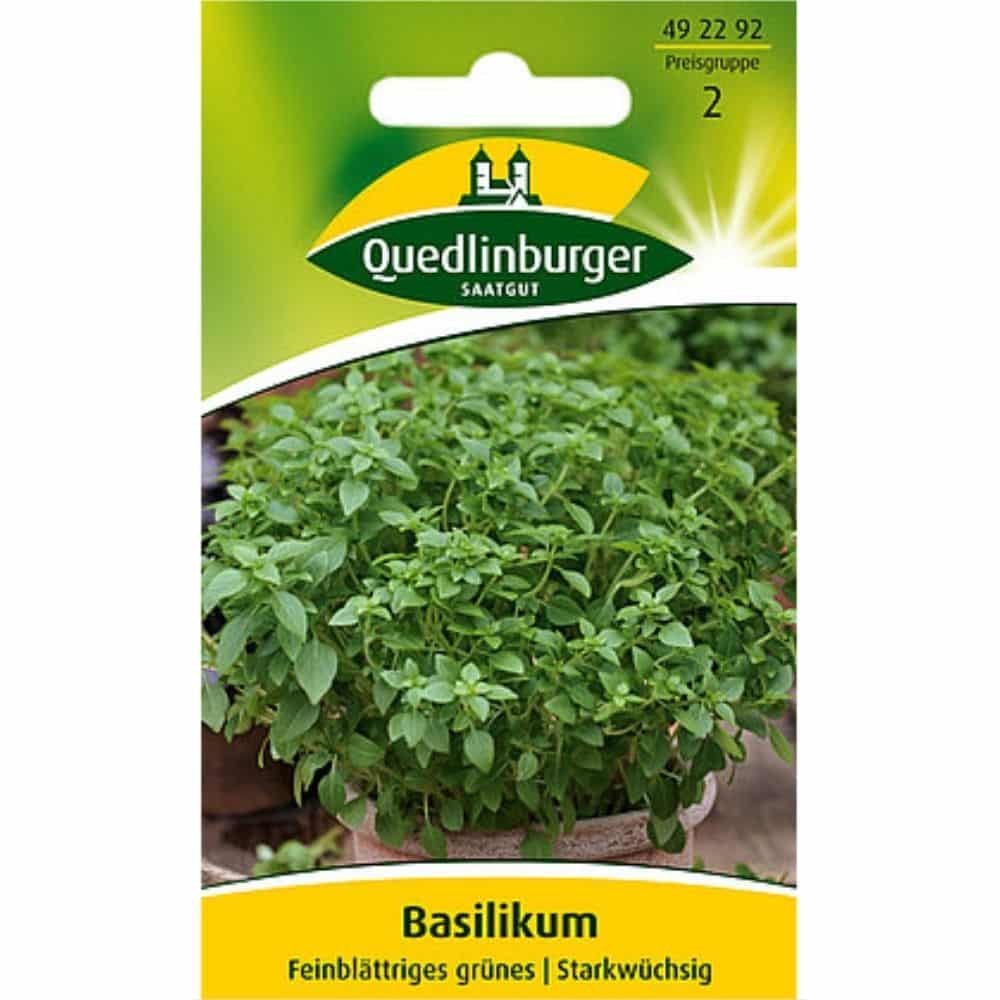 Fijnbladige groene basilicum