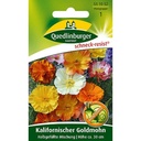 Californische goudpapaver, halfgevulde mix