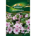 Bekermalva, Pink Beauty