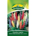 Vaste plant-lupine, Russels hybride-mix