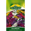 Strandflieder, Speciale mix