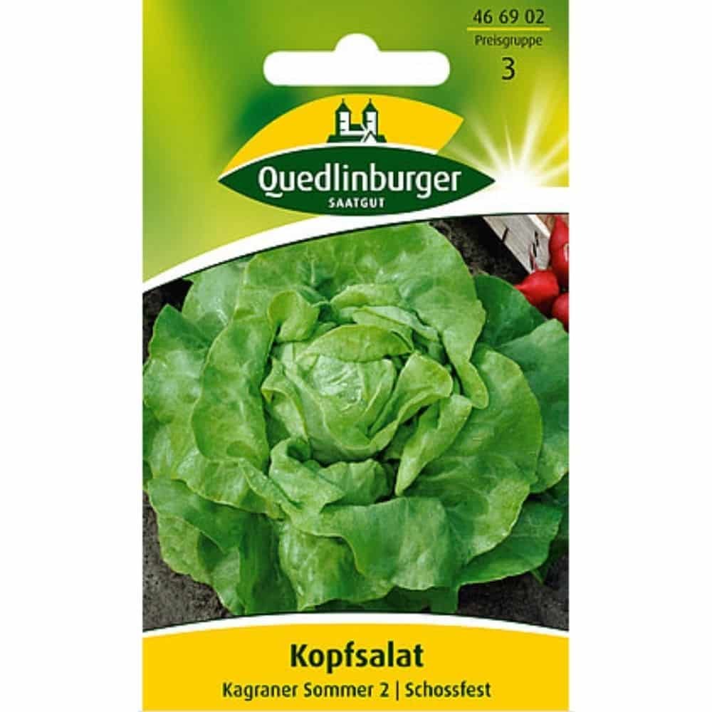 Kropsla, Kagraner Zomer 2