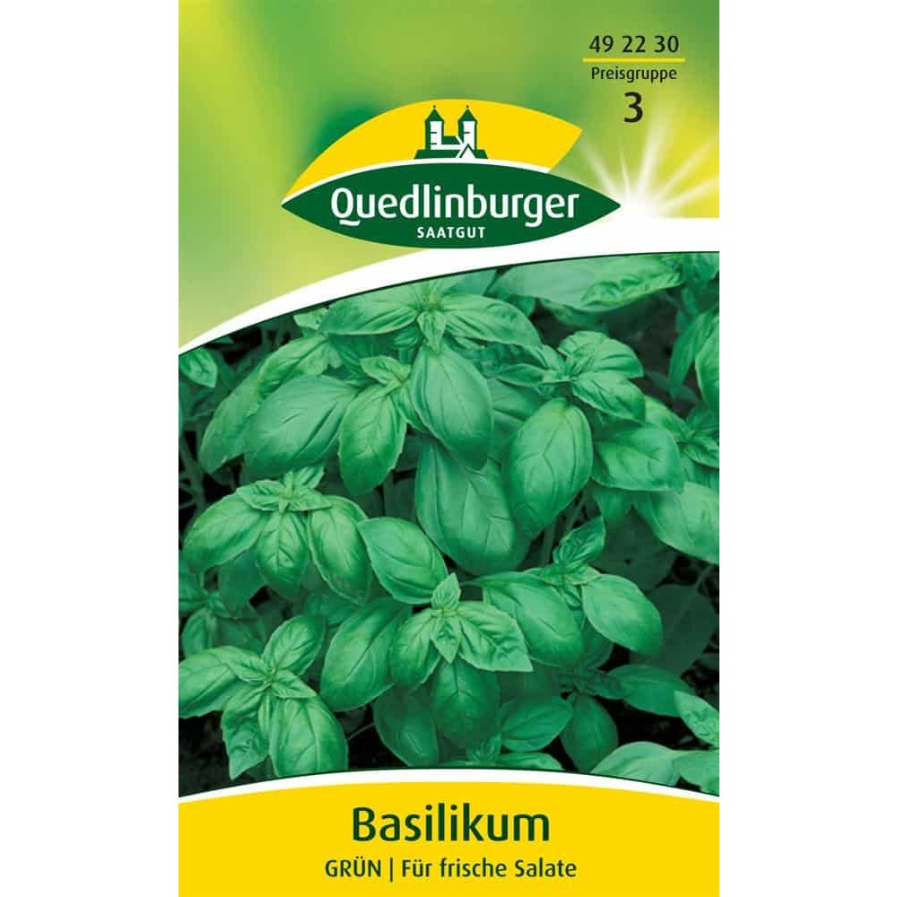 Basilicum, Groen