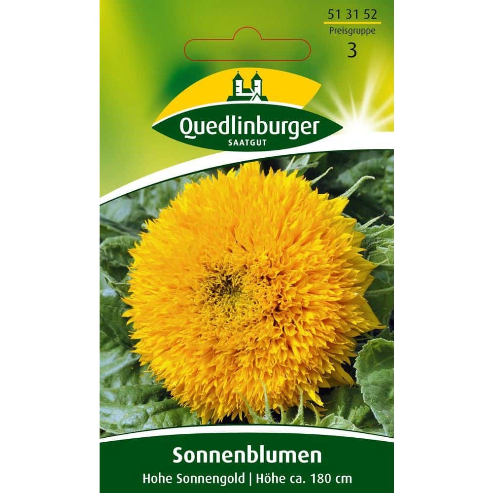 Zonnebloem, Hohe Sonnengold