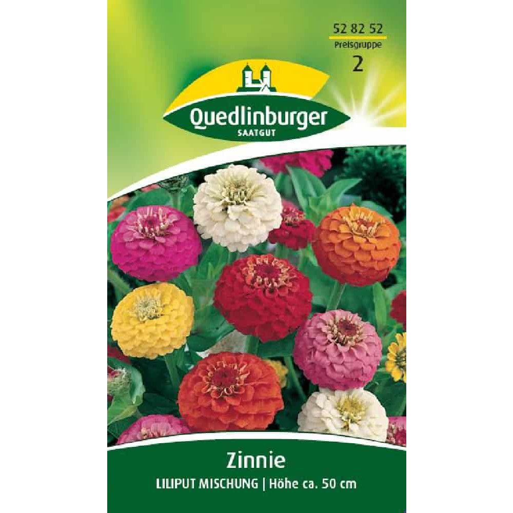 Zinnia, Liliput Mix