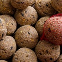 Premium Mezenbollen met Insecten 200 x ca.90 Gram met Net