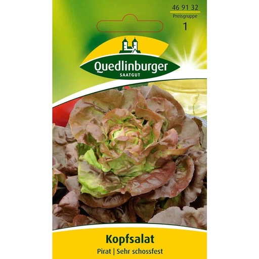 [BONI-469132] Kropsla, Piraat